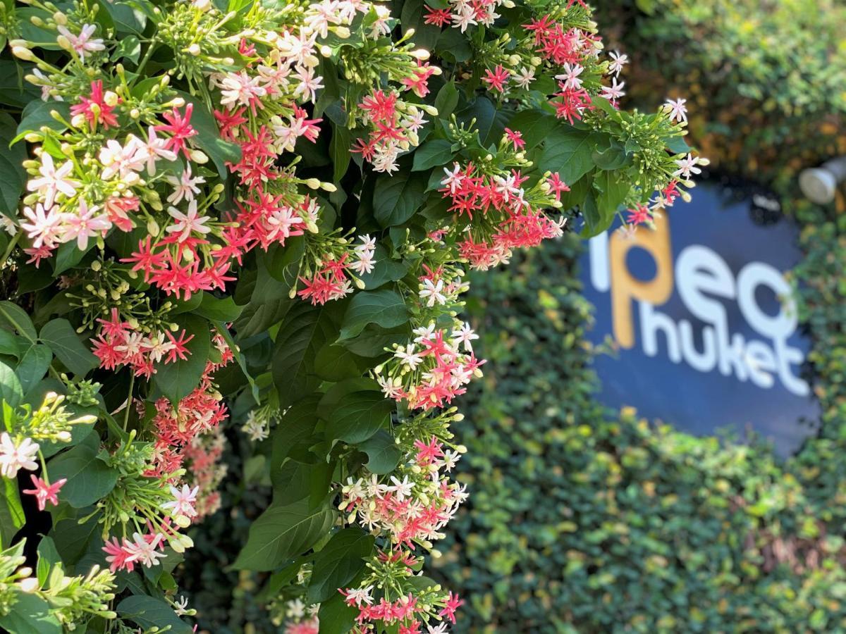 Ideo Phuket Hotel - Sha Extra Plus Nai Yang Beach Kültér fotó