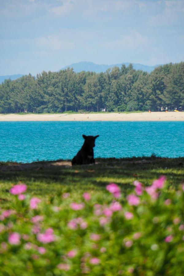Ideo Phuket Hotel - Sha Extra Plus Nai Yang Beach Kültér fotó